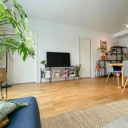 公寓 Leilighet Med Sjoutsikt Og Gangavstand Til Sentrum 特罗姆瑟